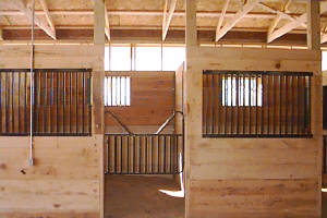 Horse Stall Gate